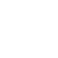 DeepSeek